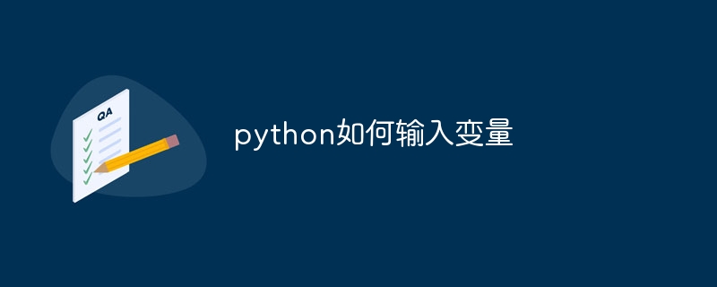 python如何输入变量