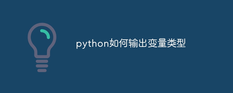 python如何输出变量类型