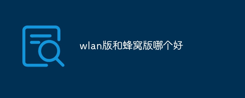 wlan版和蜂窝版哪个好