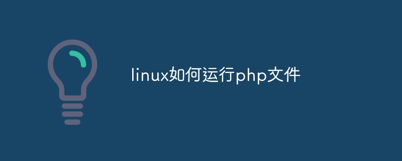 linux如何运行php文件