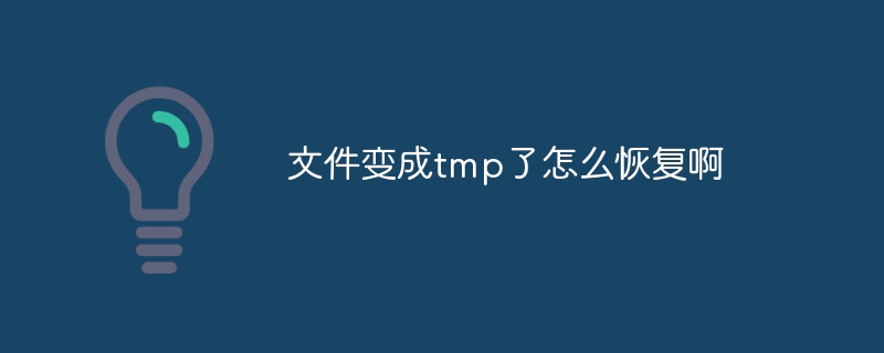 文件变成tmp了怎么恢复啊