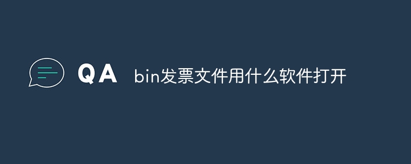 bin发票文件用什么软件打开