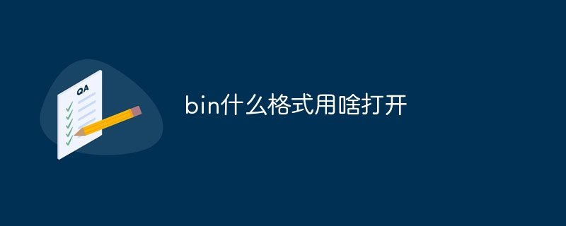 bin什么格式用啥打开