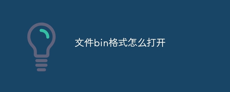 文件bin格式怎么打开