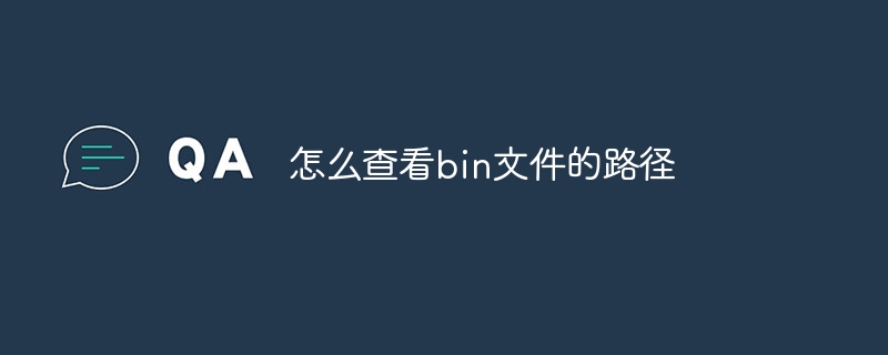 怎么查看bin文件的路径