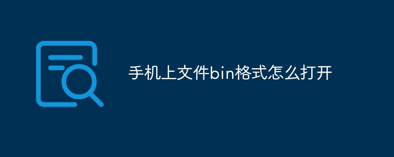 手机上文件bin格式怎么打开