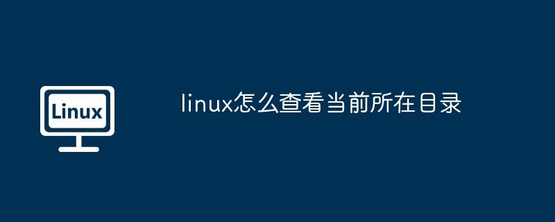 linux怎么查看当前所在目录