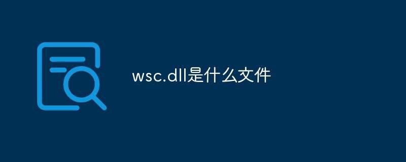 wsc.dll是什么文件