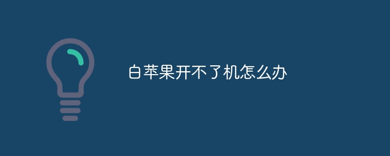 白苹果开不了机怎么办