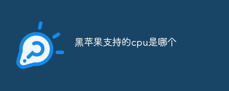 黑苹果支持的cpu是哪个