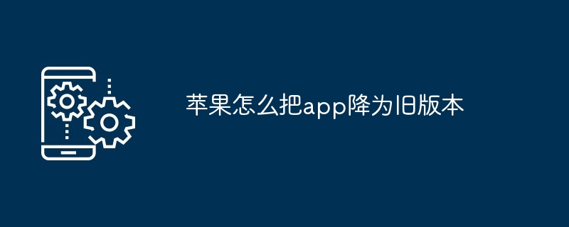 苹果怎么把app降为旧版本