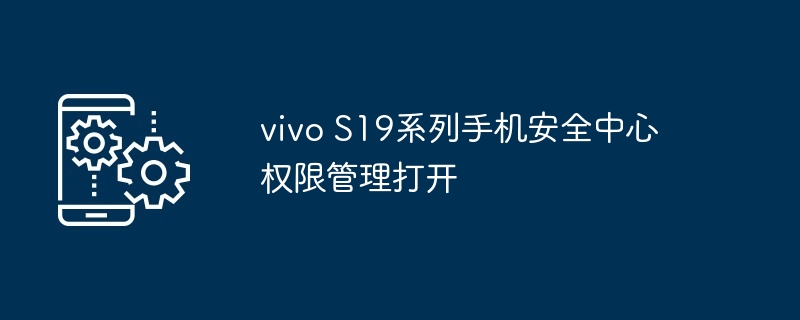 vivo S19系列手机安全中心权限管理打开