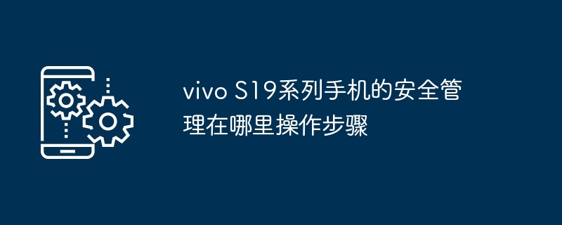 vivo S19系列手机的安全管理在哪里操作步骤