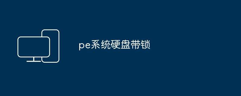 pe系统硬盘带锁