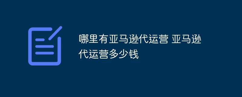 哪里有亚马逊代运营 亚马逊代运营多少钱