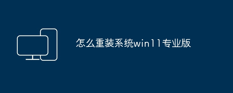 怎么重装系统win11专业版