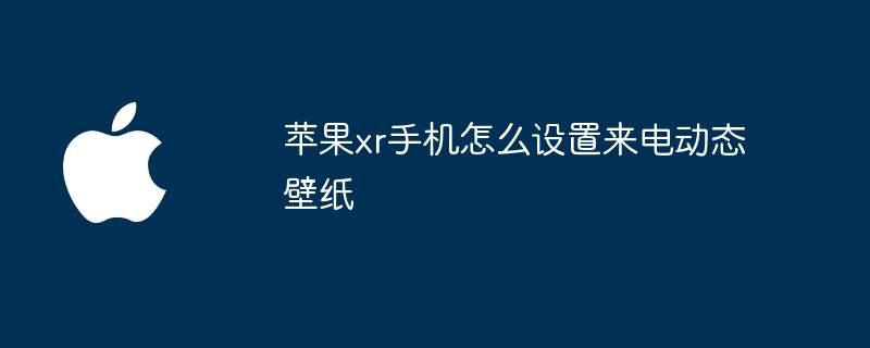 苹果xr手机怎么设置来电动态壁纸