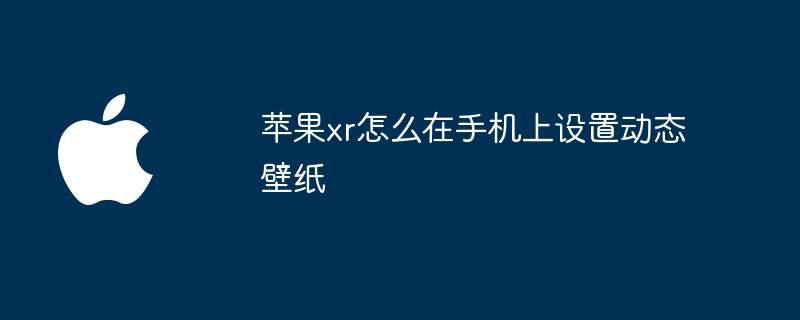 苹果xr怎么在手机上设置动态壁纸