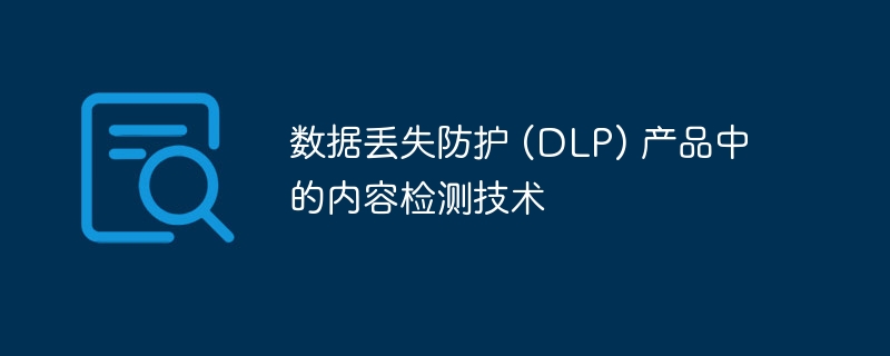 数据丢失防护 (DLP) 产品中的内容检测技术