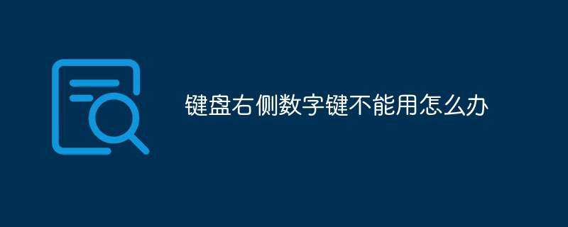 键盘右侧数字键不能用怎么办