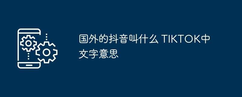 国外的抖音叫什么 TIKTOK中文字意思