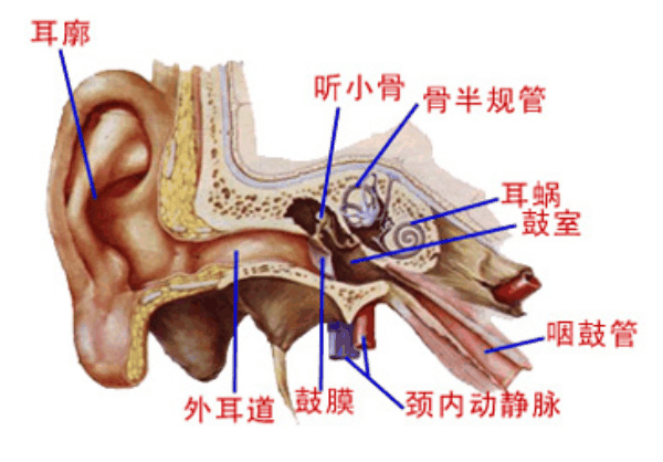 医生都叫别掏耳朵！真的不怕耳屎堵住吗？我看过视频