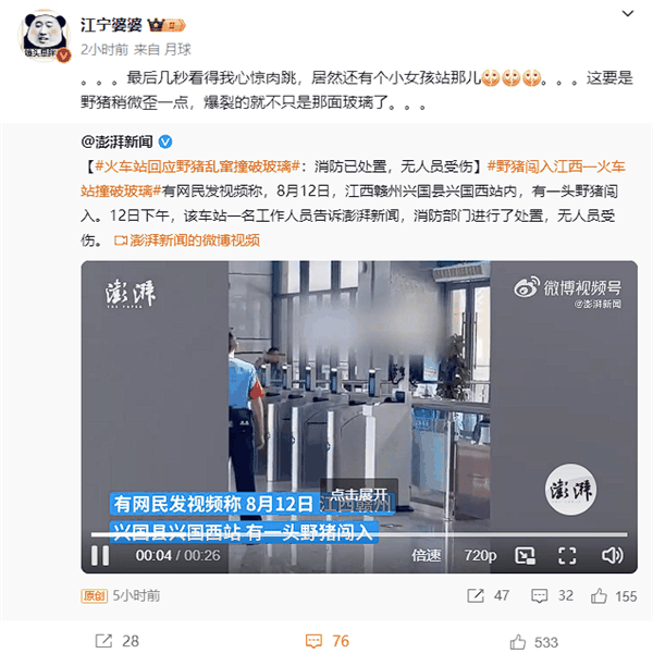 火车站回应“野猪乱窜撞破玻璃” 博主：六边形野生动物极度危险