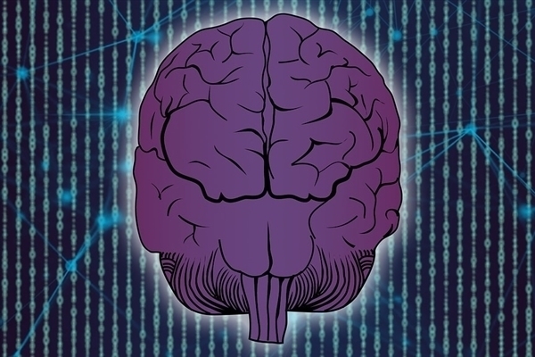 马斯克：Neuralink今年预计完成10例脑机接口植入手术