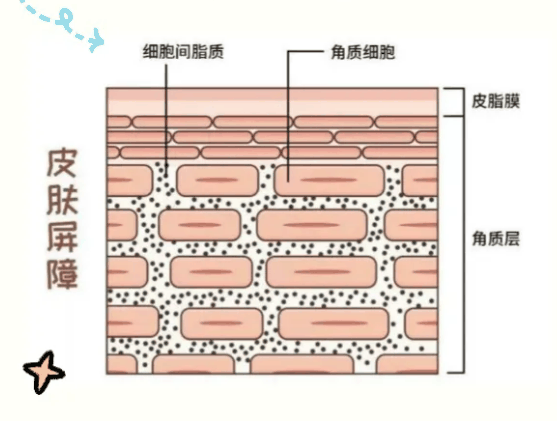 为什么洗完澡 感觉自己变好看了？四大原因