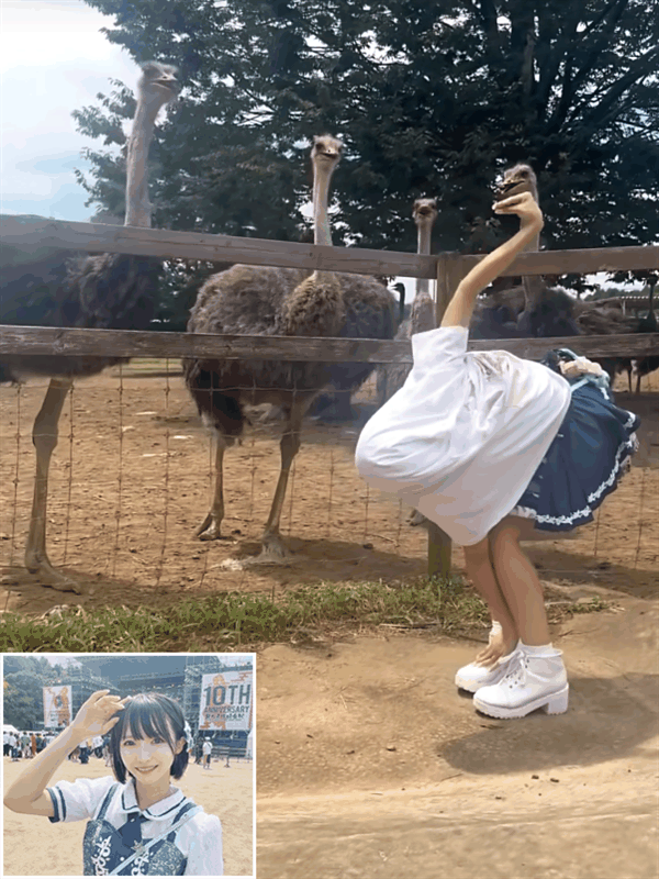 日本妹子cos鸵鸟爆火！现在又去模仿火烈鸟了