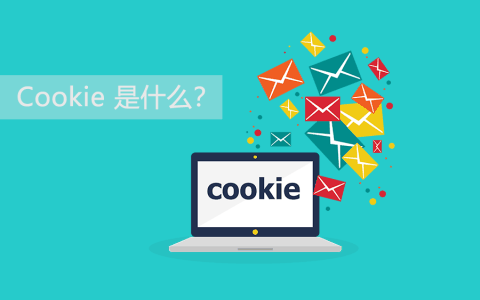 cookie是什么意思