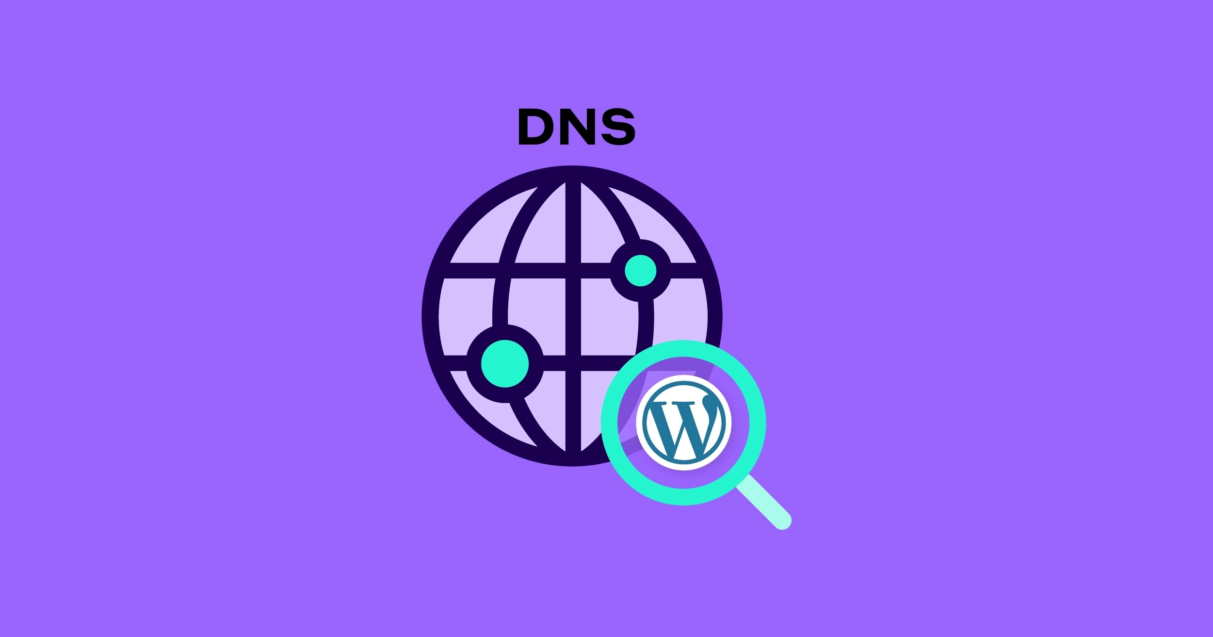 DNS 智能解析 DNS WordPress