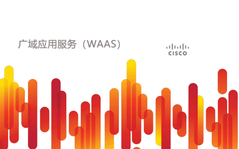 WAAS 是什么