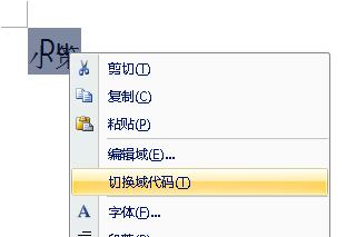 Word2007教你合并字符