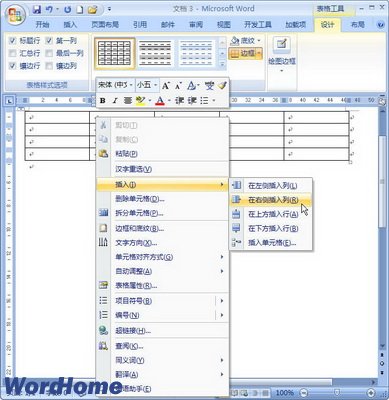 Word2007怎样在表格中插入行和列