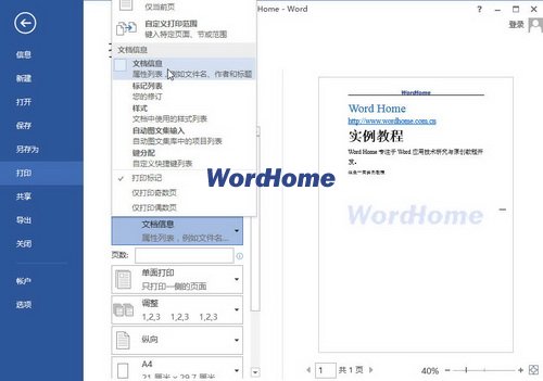 选择打印文档属性