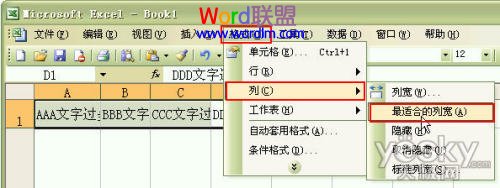 如何设置Excel2003单元格输入文字后自动调整合适行高和列宽？