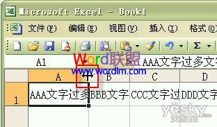 如何设置Excel2003单元格输入文字后自动调整合适行高和列宽