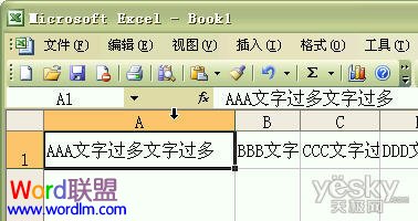 如何设置Excel2003单元格输入文字后自动调整合适行高和列宽