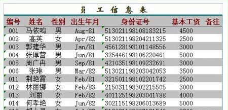 Excel输入身份证号显示不全怎么办？输入身份证号技巧分享