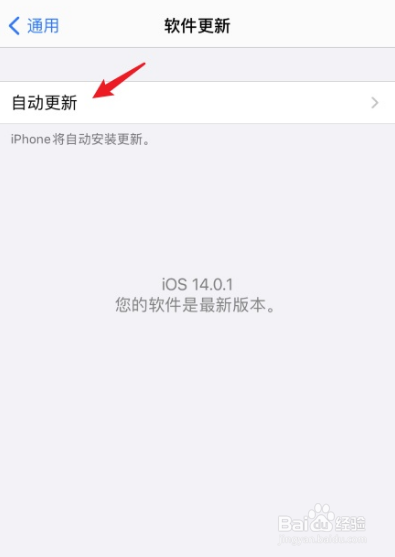 iphone16怎么禁止系统自动更新？iphone16禁止系统自动更新教程插图4