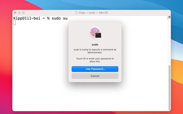 Mac终端怎么使用Touch ID进行身份验证?插图6