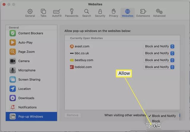 如何在Mac上设置允许弹窗? Mac浏览器允许使用弹出式窗口设置方法插图8