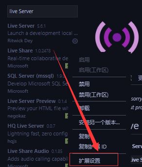 vscode怎么设置默认浏览器? vscode默认打开的浏览器为Chrome的方法插图6