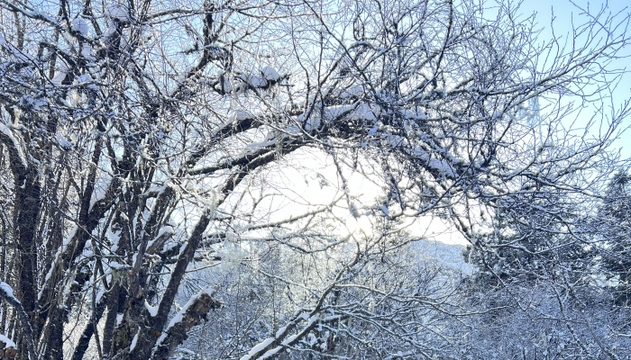 2024年12月28日国外天气预报：日本持续多降雪天气