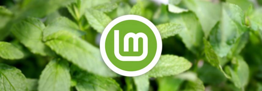 LinuxMint怎么安装? Linux Mint22下载安装图文教程插图