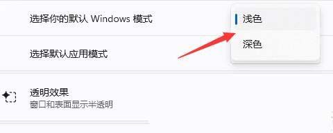 Windows系统如何设置色盲模式? windows色盲模式快捷键用法插图8