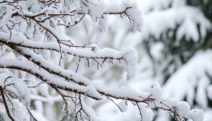 中东部地区遭遇大风降温 东北地区及西藏东部迎来较强雨雪