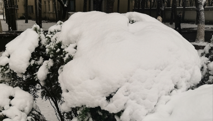 回南天将至紫色暴雪区预警 大范围雨雪增强南方降雨连绵不绝