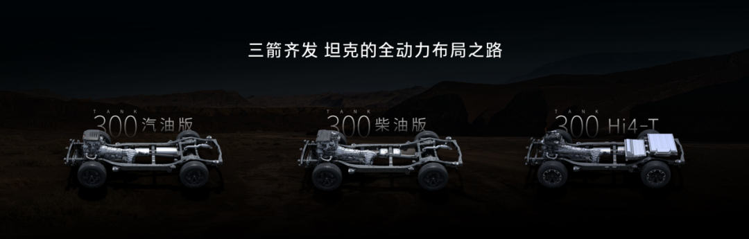 这才是最经典方盒子越野，2025款坦克300上市，三种动力19.98万起